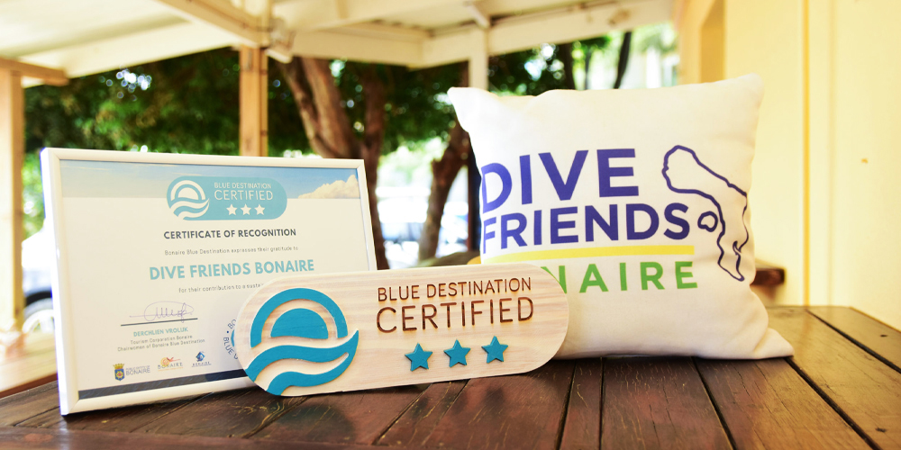 blue_destination_bedrijfscertificerings_dive_friends