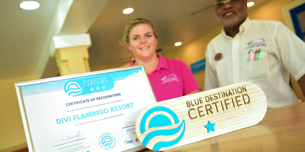 blue_destination_bedrijfscertificerings_divi_flamingo