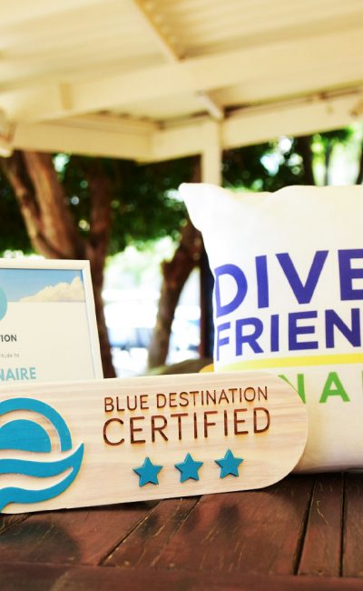 blue_destination_bedrijfscertificerings_dive_friends_pagina