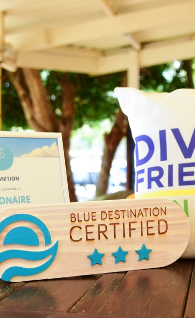 blue_destination_header_bedrijfscertificerings_dive_friends